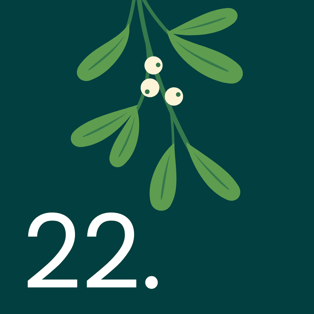 2024 - Advent - Day 22 - Hollie